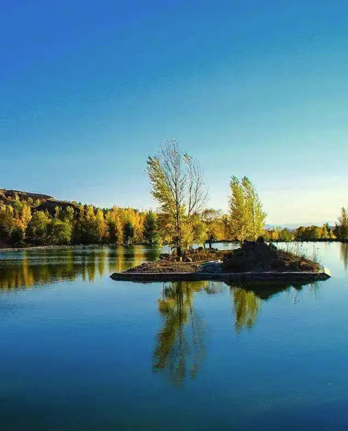 ����Ӱ������