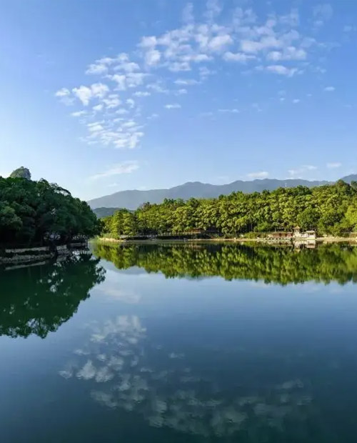 ��ȫ����