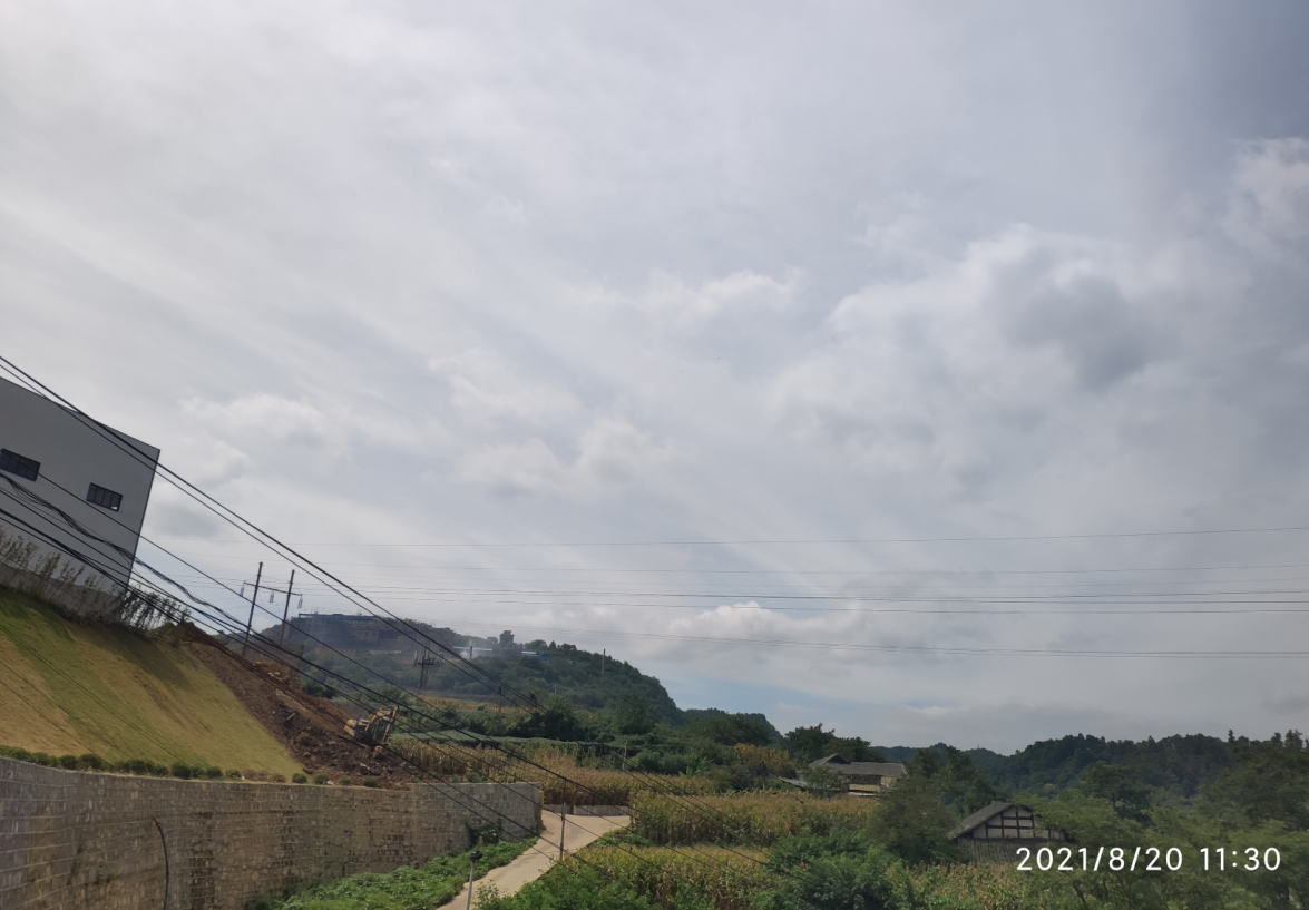 ���ݽ𲩶��������޹�˾��Ŀ